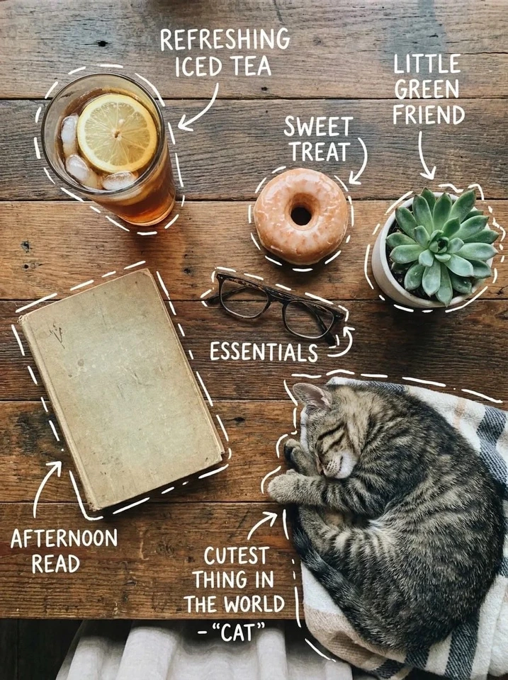 Flux 3 (flux-3.org) prompt example: Cozy tea and cat flat lay